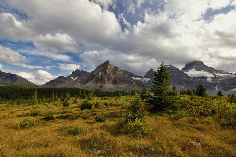 Assiniboine lodge