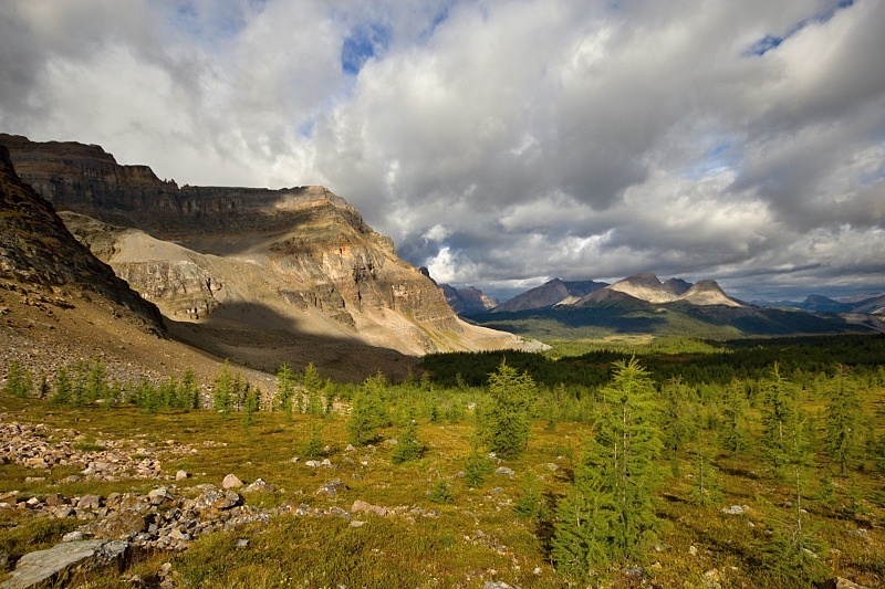 Wonder Pass