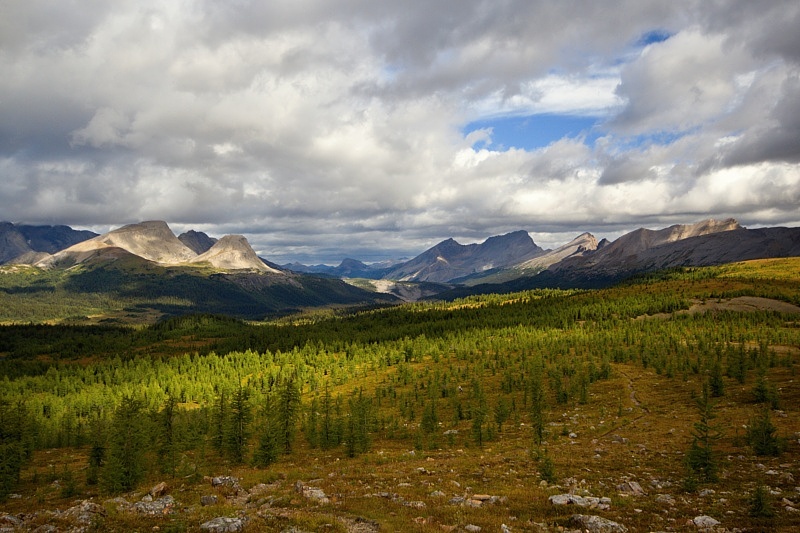 Wonder Pass