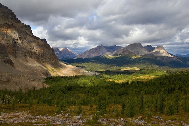 Wonder Pass