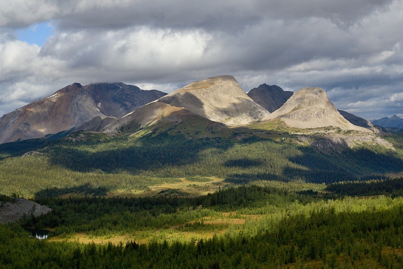 Wonder Pass