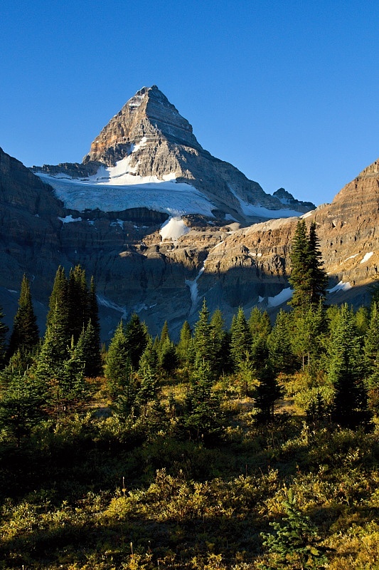 Mount Assiniboine PP