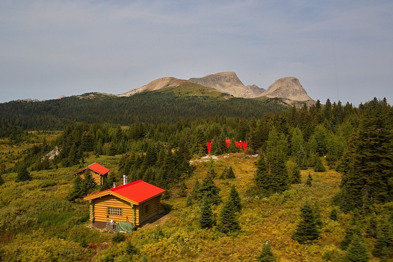 let z Assiniboine