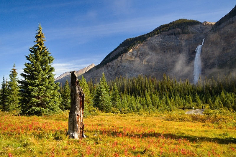 Takakkaw Falls