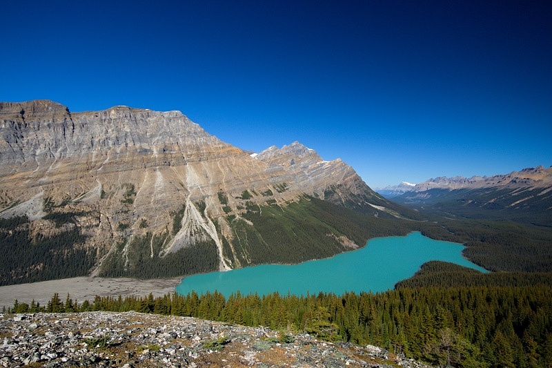 Peyto Lake