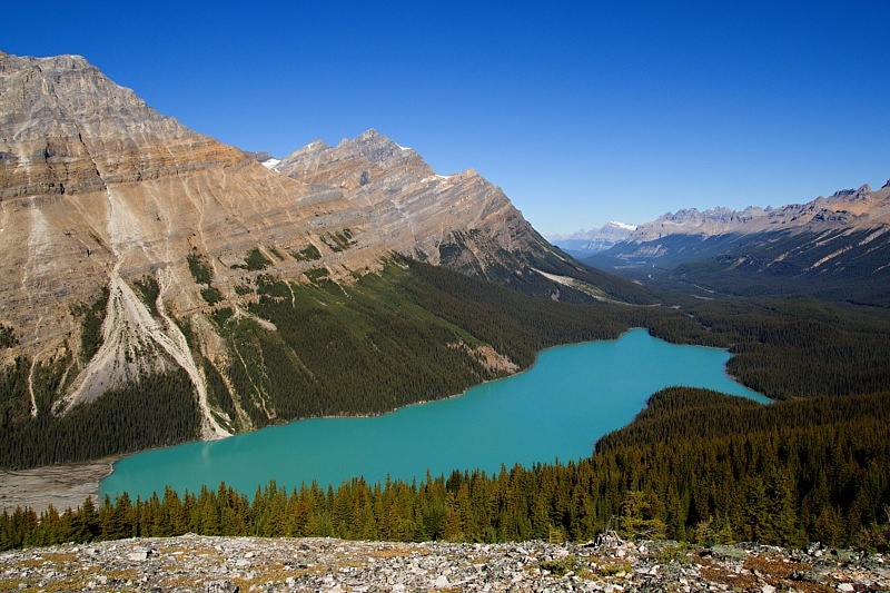 Peyto Lake