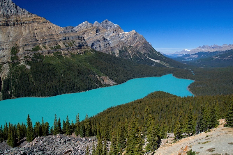 Peyto Lake