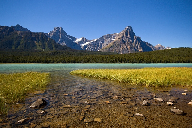 Waterfowl Lakes