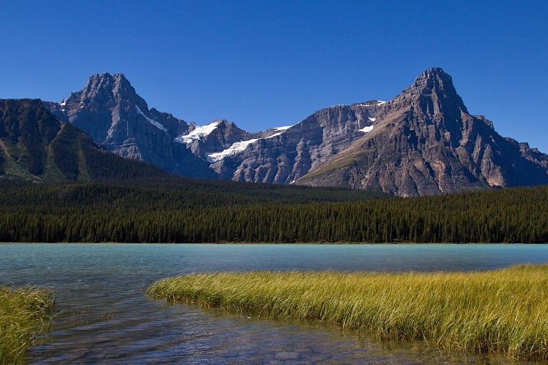 Waterfowl Lakes
