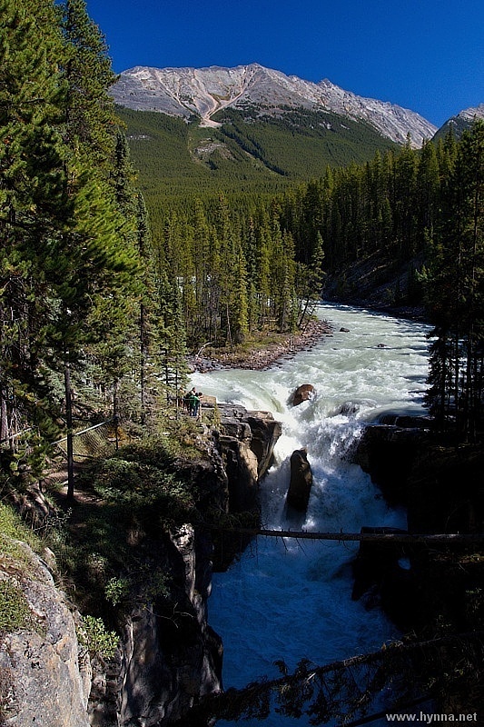 Sunwapta Falls