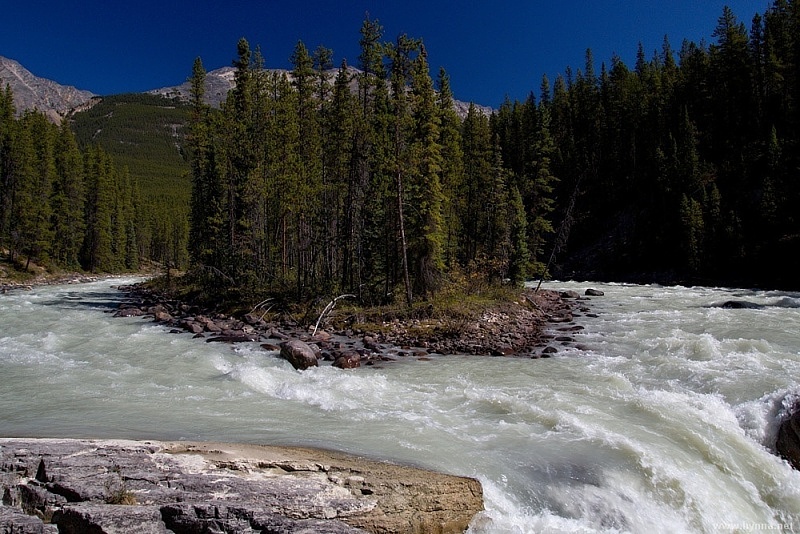 Sunwapta Falls