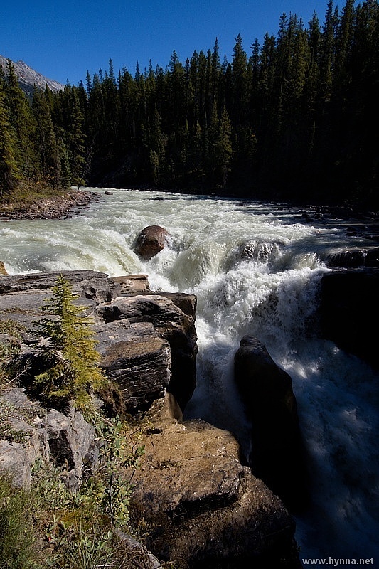 Sunwapta Falls