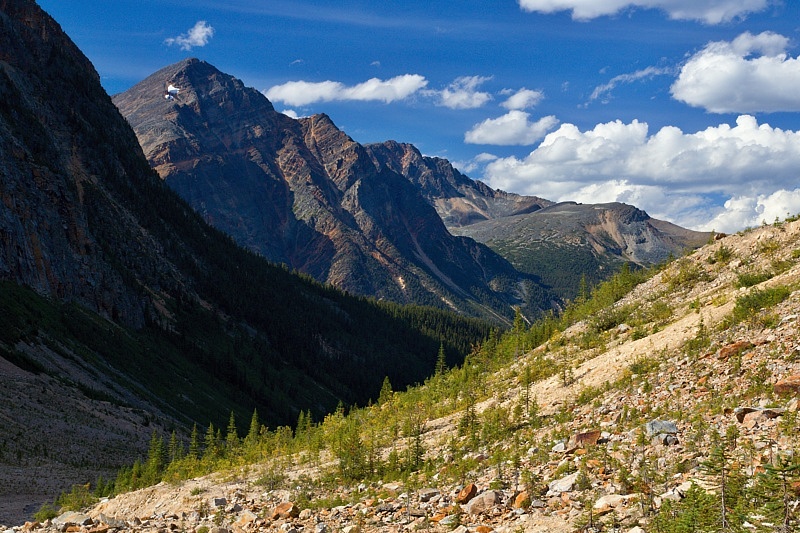 Mount Edith Cavell Glacier