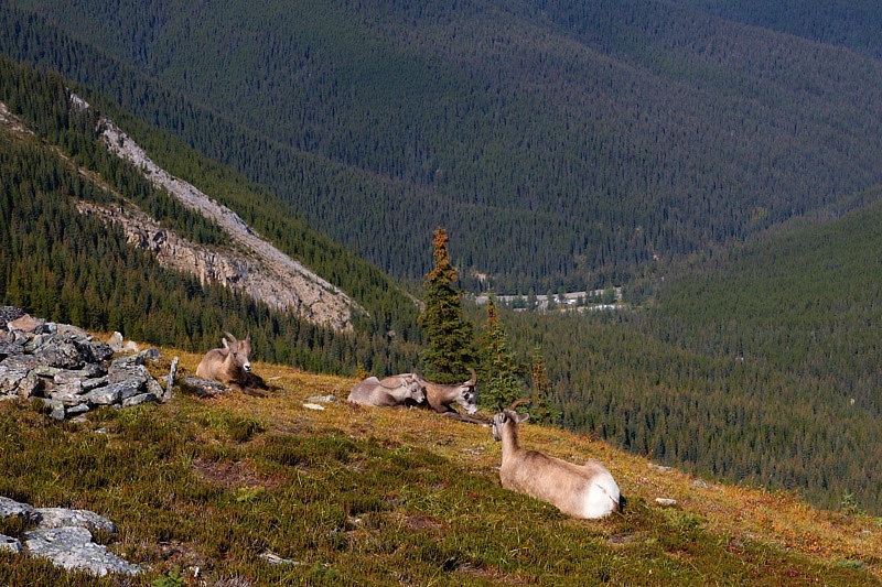 sestup ze Sulphur Skyline