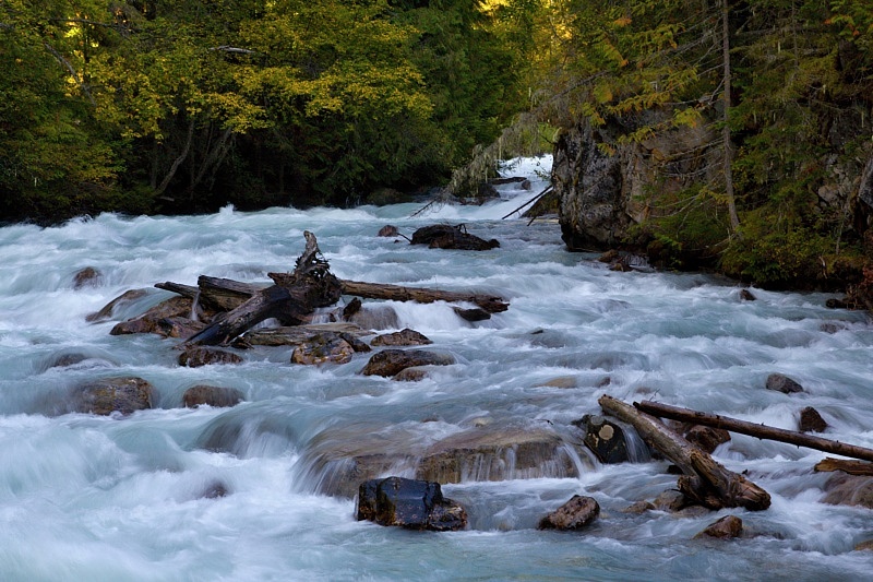 Robson River