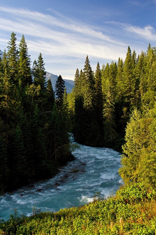 Robson River