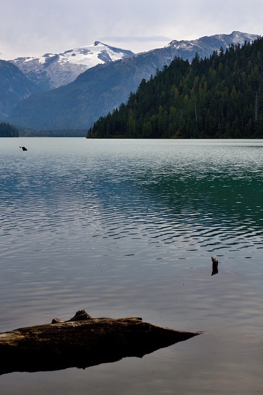 Cheakamus Lake