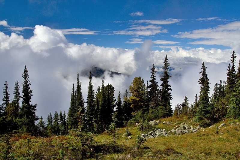 Blackcomb Mountain