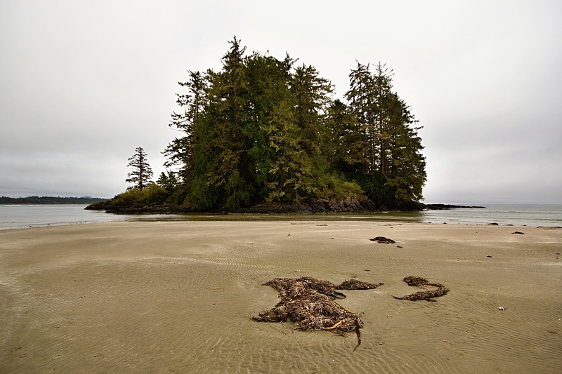 Schooner Cove