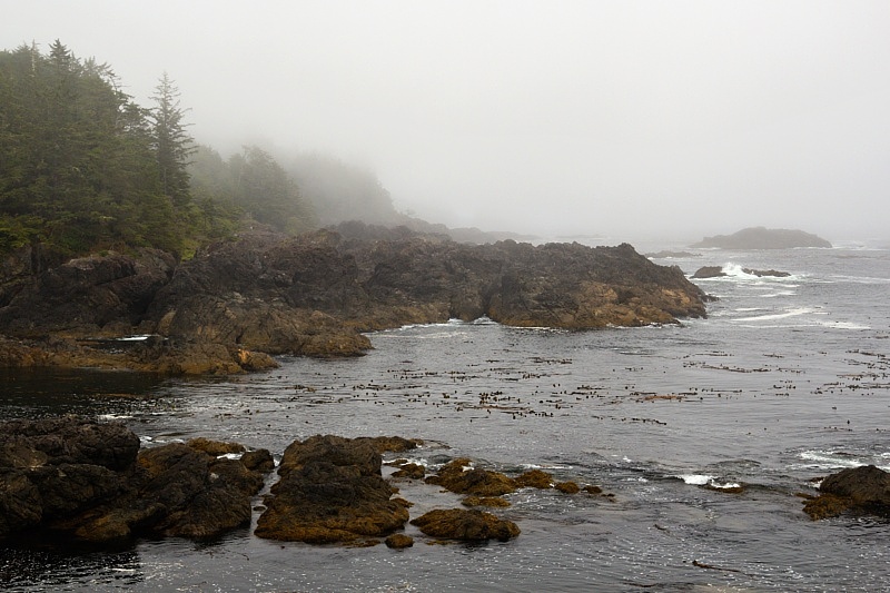 Wild Pacific Trail - Lighthouse Loop