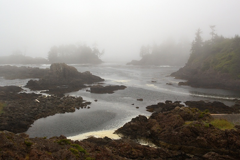 Wild Pacific Trail - Lighthouse Loop