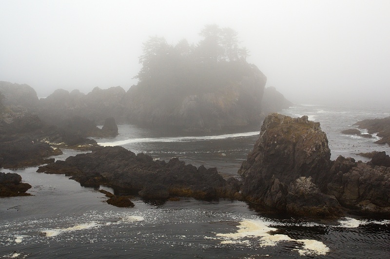 Wild Pacific Trail - Lighthouse Loop
