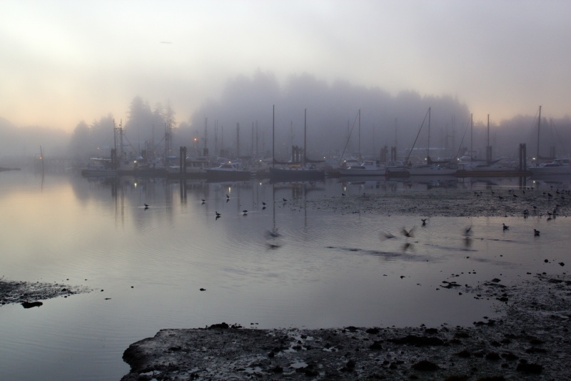 Ucluelet