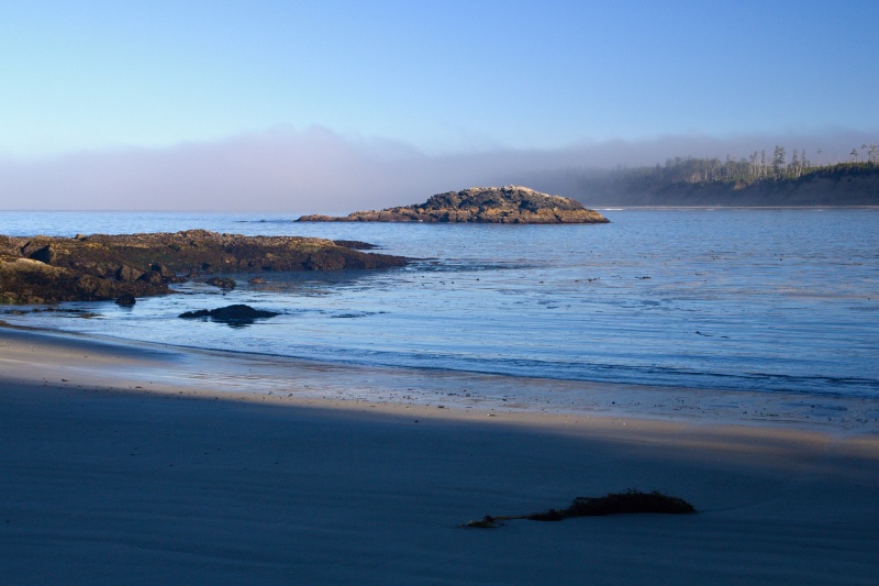 Halfmoon Bay Trail