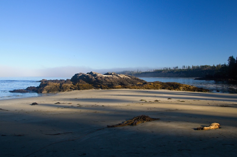 Halfmoon Bay Trail