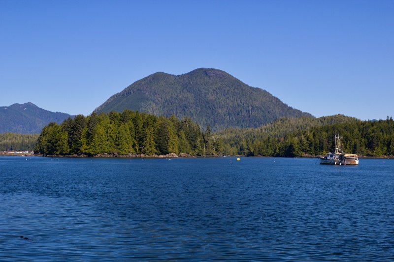 Tofino