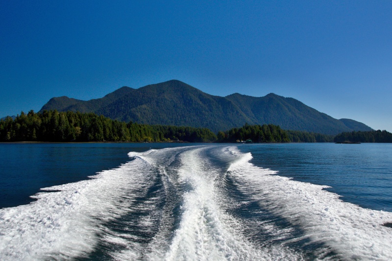 Tofino