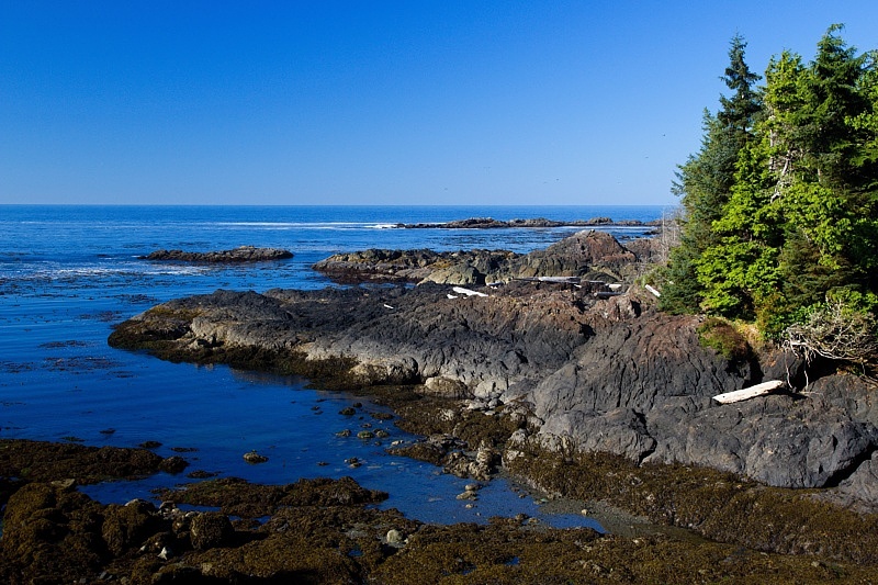 Wild Pacific Trail