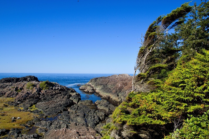 Wild Pacific Trail