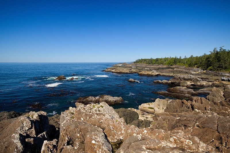 Wild Pacific Trail