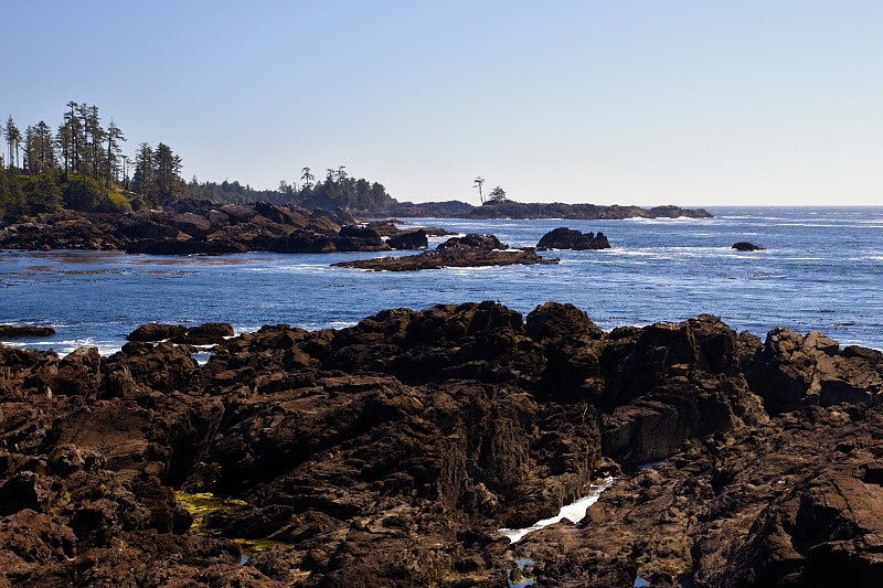 Wild Pacific Trail