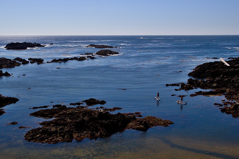 Wild Pacific Trail