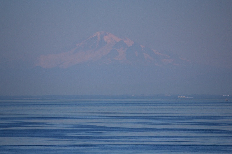 Swartz Bay - Tsawwassen