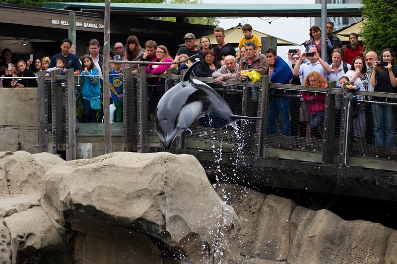 Vancouver Aquarium