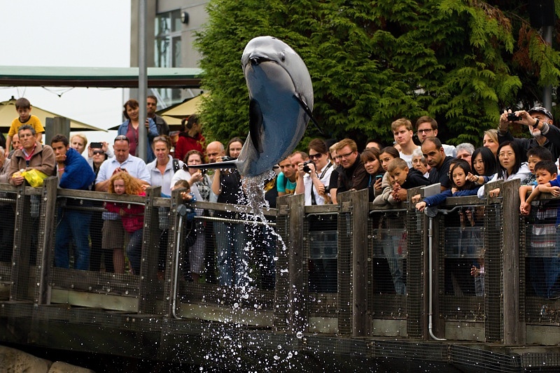 Vancouver Aquarium