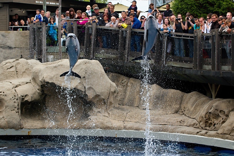 Vancouver Aquarium
