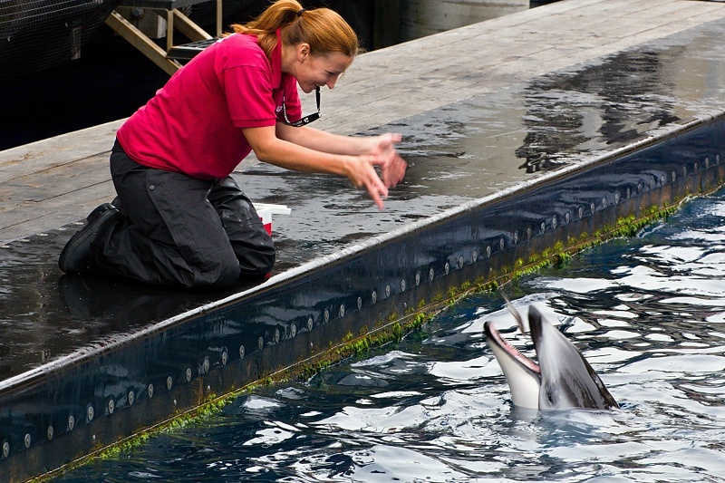 Vancouver Aquarium