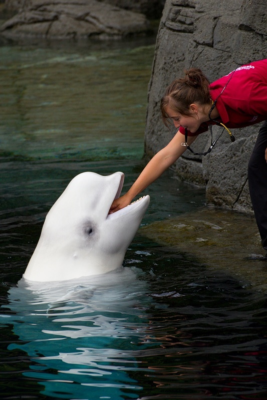 Vancouver Aquarium